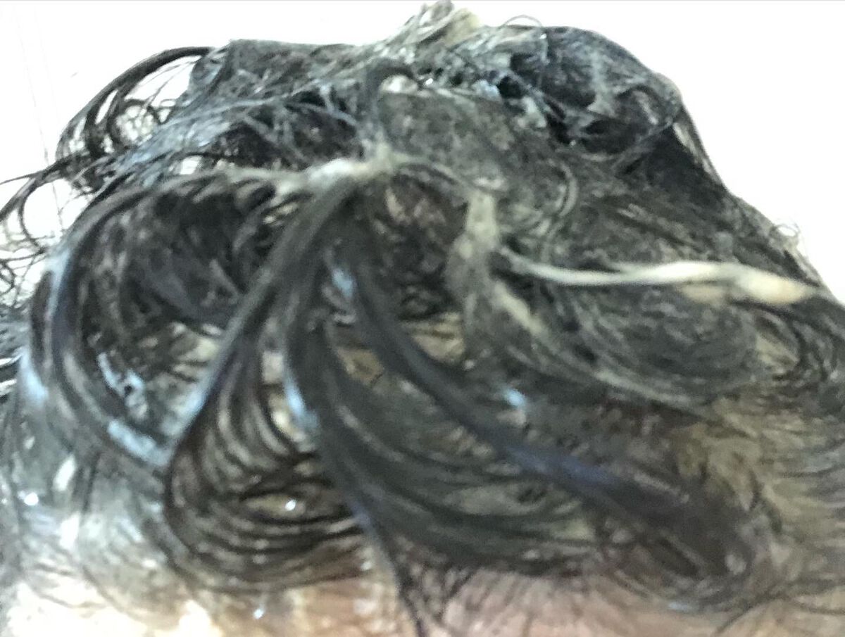 カラーシャンプー/綺和美/市販シャンプーを使ったクチコミ(4枚目)