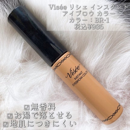 リシェ カラーリング アイブロウマスカラ/Visée/眉マスカラを使ったクチコミ(3枚目)