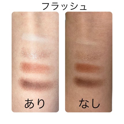 スパークリングリッチシャドウ/LB/アイシャドウパレットを使ったクチコミ(4枚目)