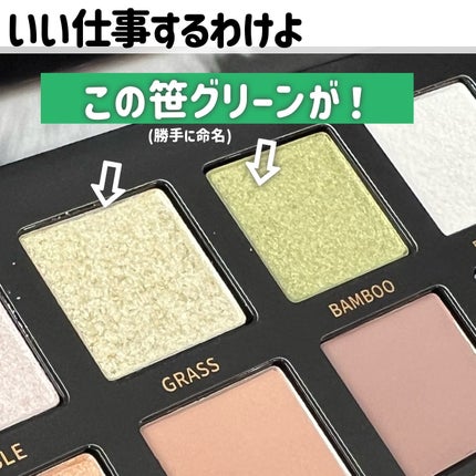 エクスプローラ12色 動物アイシャドウパレット/PERFECT DIARY/アイシャドウパレットを使ったクチコミ(4枚目)