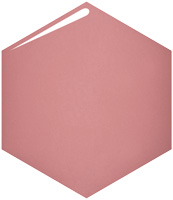 ネールズ N PK701