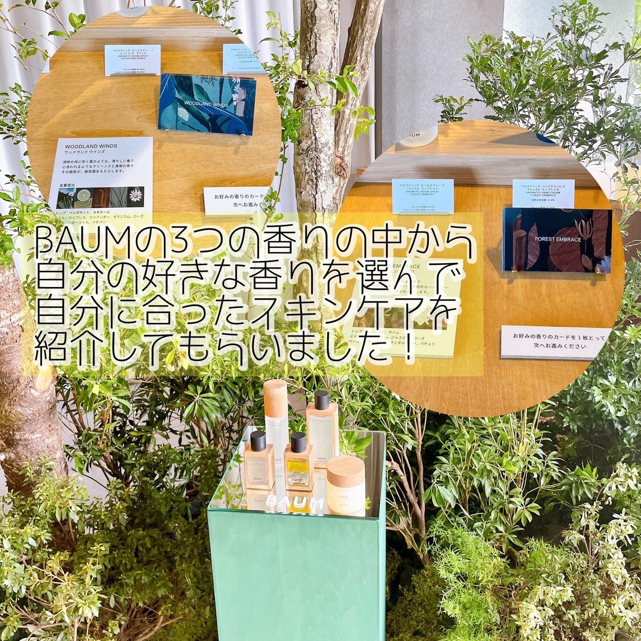 waniwaniコスメ@ふぉろば on LIPS 「BAUMブランド初のPOPUPイベントに参加しました!BAUM..」(3枚目)