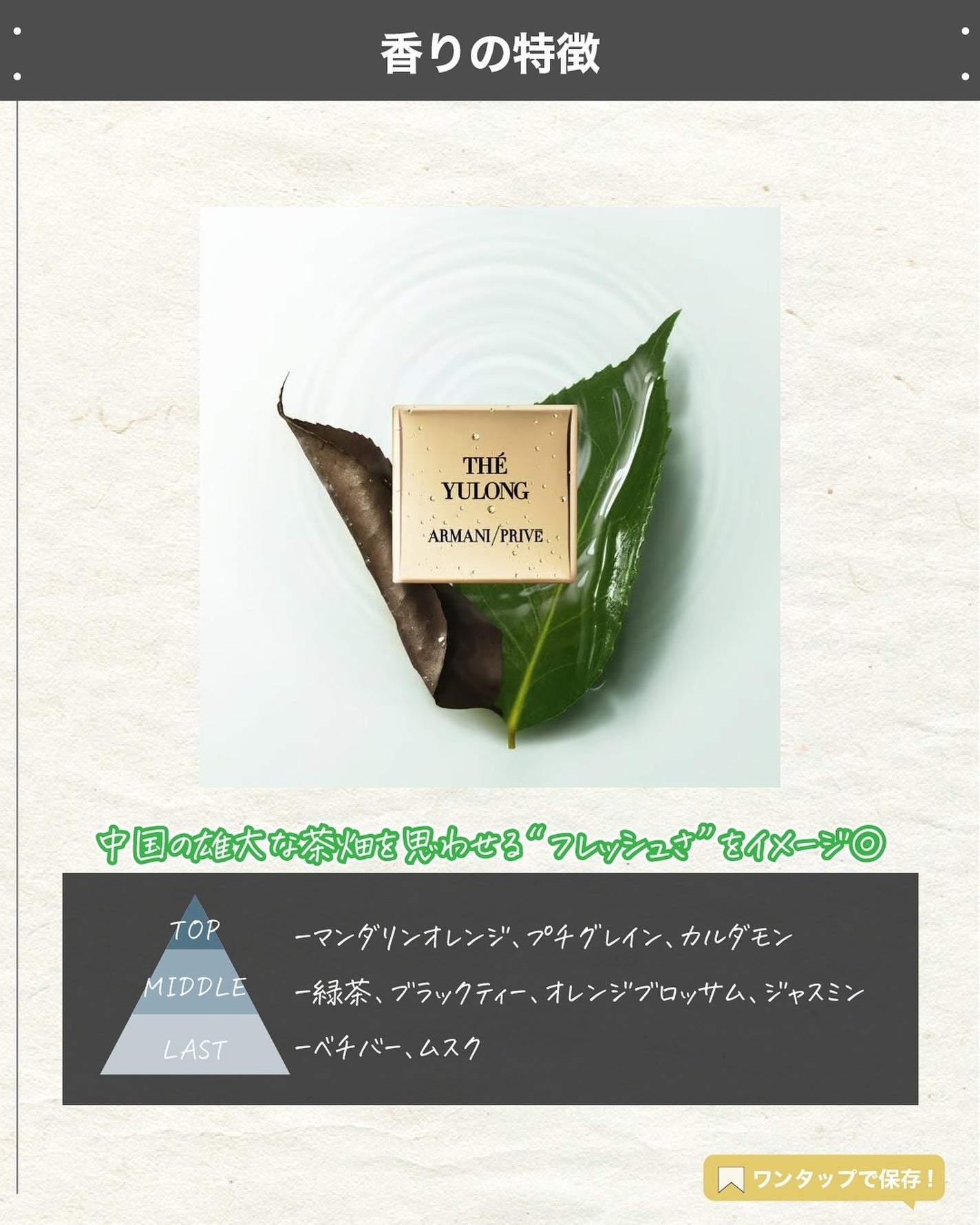 エスログ┊1日1分のモテ香水紹介 on LIPS 「.『数量限定秋の香水』🌳製品情報🌳ARMANIbeautyアル..」(3枚目)