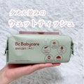 紫雲ウェットティッシュ / Bc Babycare