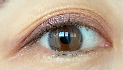 シグニチャー カラー アイズ/SUQQU/アイシャドウパレットを使ったクチコミ(4枚目)