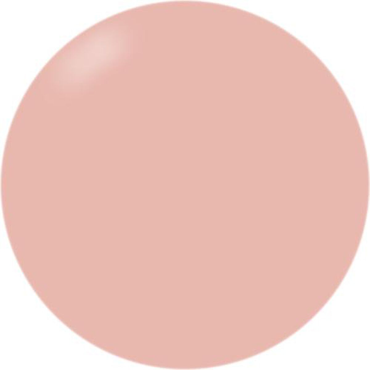 ブラッシュオンカラージェル 061