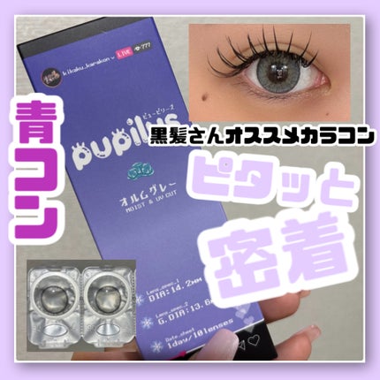 pupilys 1day/pupilys/ワンデー(1DAY)カラコンを使ったクチコミ(1枚目)