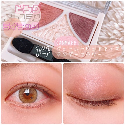 ジューシーピュアアイズ/キャンメイク/アイシャドウパレットを使ったクチコミ(2枚目)