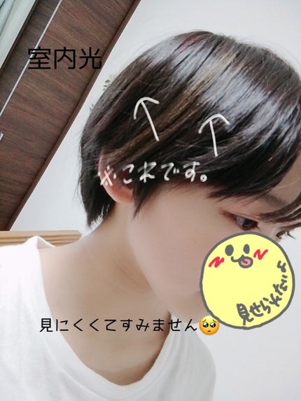 1DAY HAIR MONSTER/リーゼ/ヘアカラーを使ったクチコミ(2枚目)