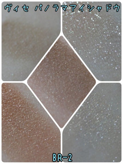 パノラマデザイン アイパレット/Visée/アイシャドウパレットを使ったクチコミ(5枚目)