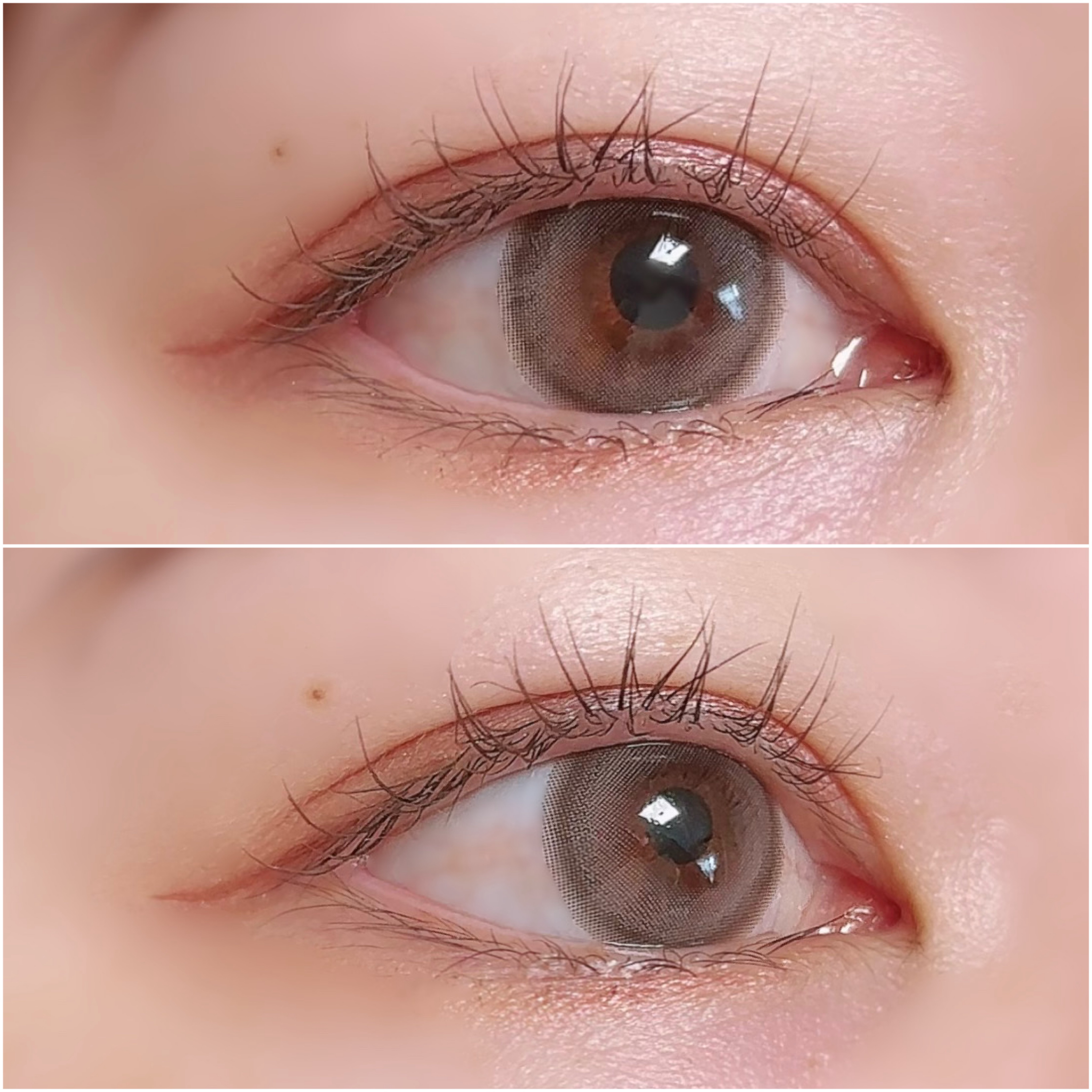 chiffon/meilly/ワンデー（１DAY）カラコンを使ったクチコミ（3枚目）