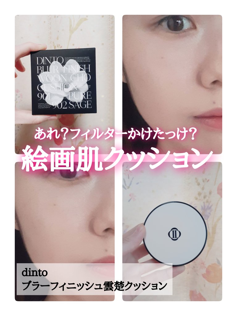 ブラーフィニッシュ雲楚クッション/Dinto/クッションファンデーションを使ったクチコミ（1枚目）