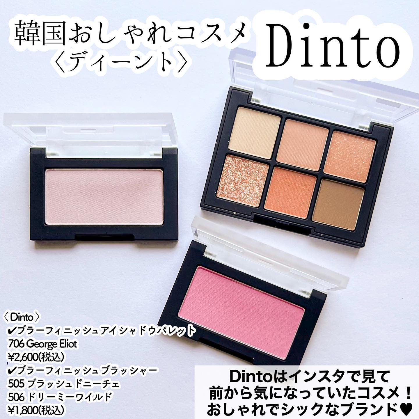 ブラーフィニシュシャドウパレット/Dinto/アイシャドウパレットを使ったクチコミ（2枚目）