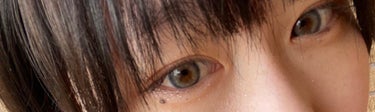 BARRIEYES 1DAY COLOR CONTACT LENS/BARRIEYES/ワンデー（１DAY）カラコンを使ったクチコミ（2枚目）