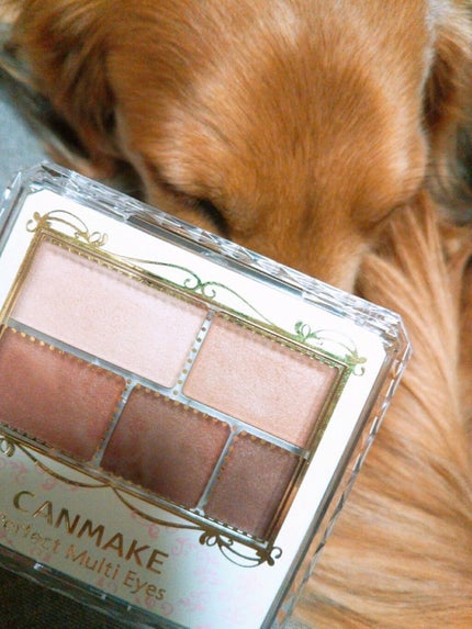 パーフェクトマルチアイズ/キャンメイク/アイシャドウパレットを使ったクチコミ(1枚目)