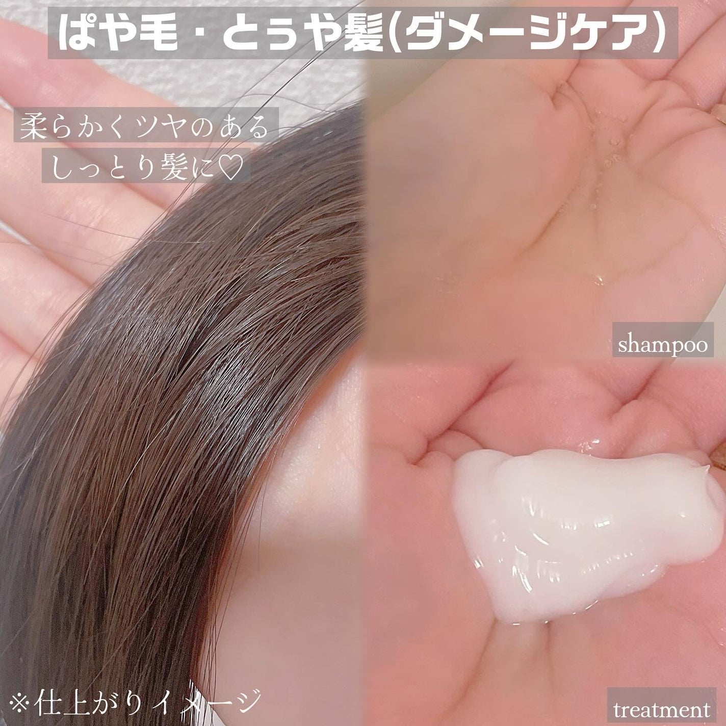 SS ビオリス ピュアレタッチ うねさぁら シャンプー/ヘアコンディショナー/SSビオリス/市販シャンプーを使ったクチコミ(3枚目)