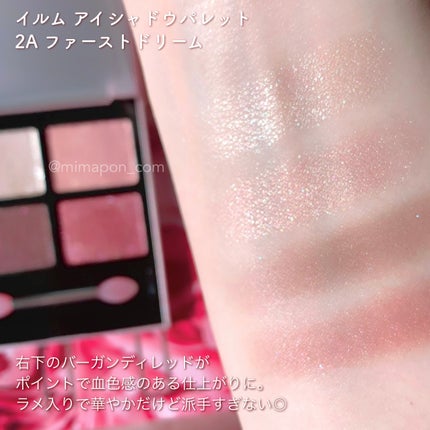アイシャドウパレット/ILM/アイシャドウパレットを使ったクチコミ(3枚目)