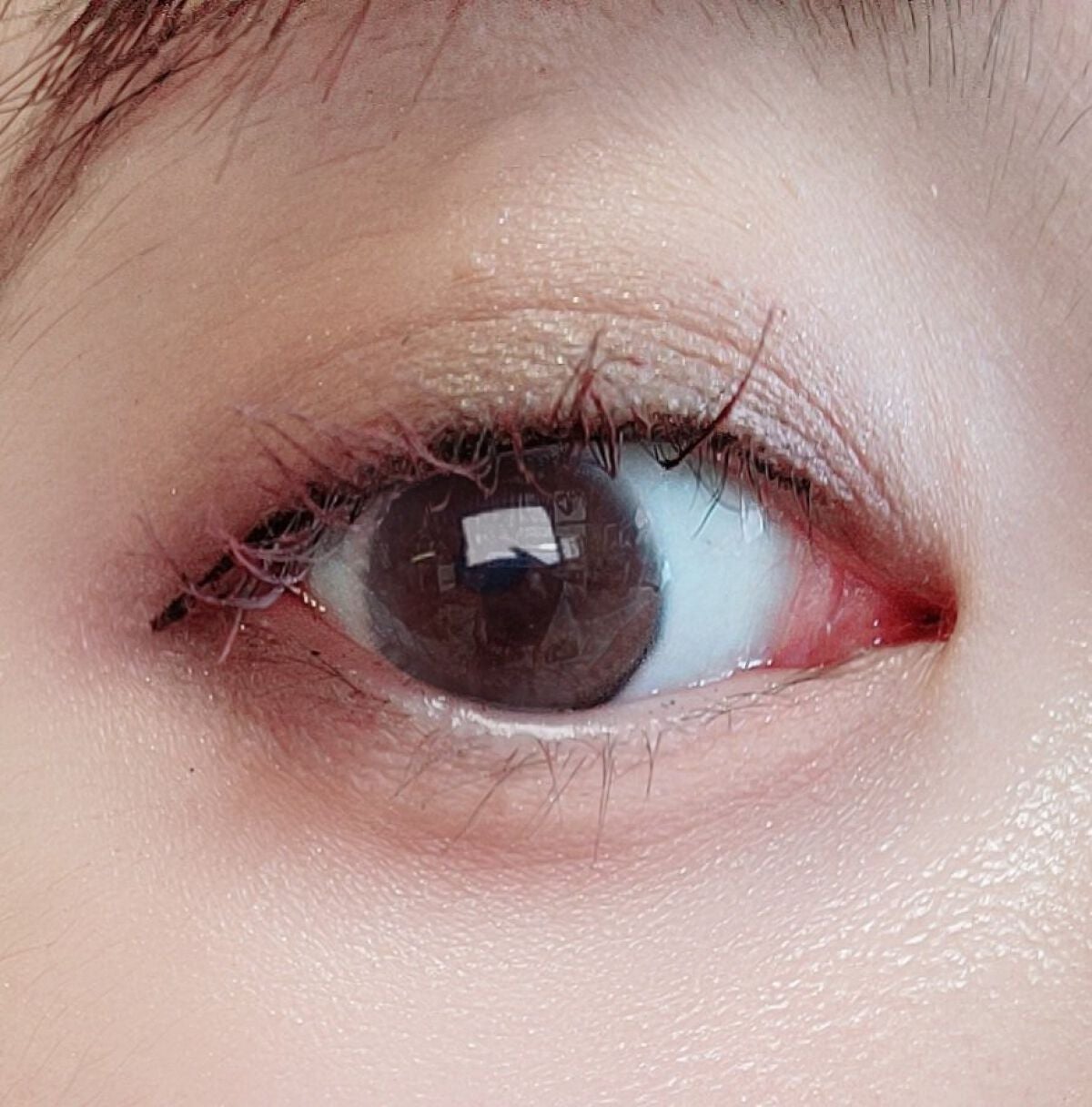 UR GLAM BLOOMING EYE COLOR PALETTE/U R GLAM/アイシャドウパレットを使ったクチコミ(4枚目)