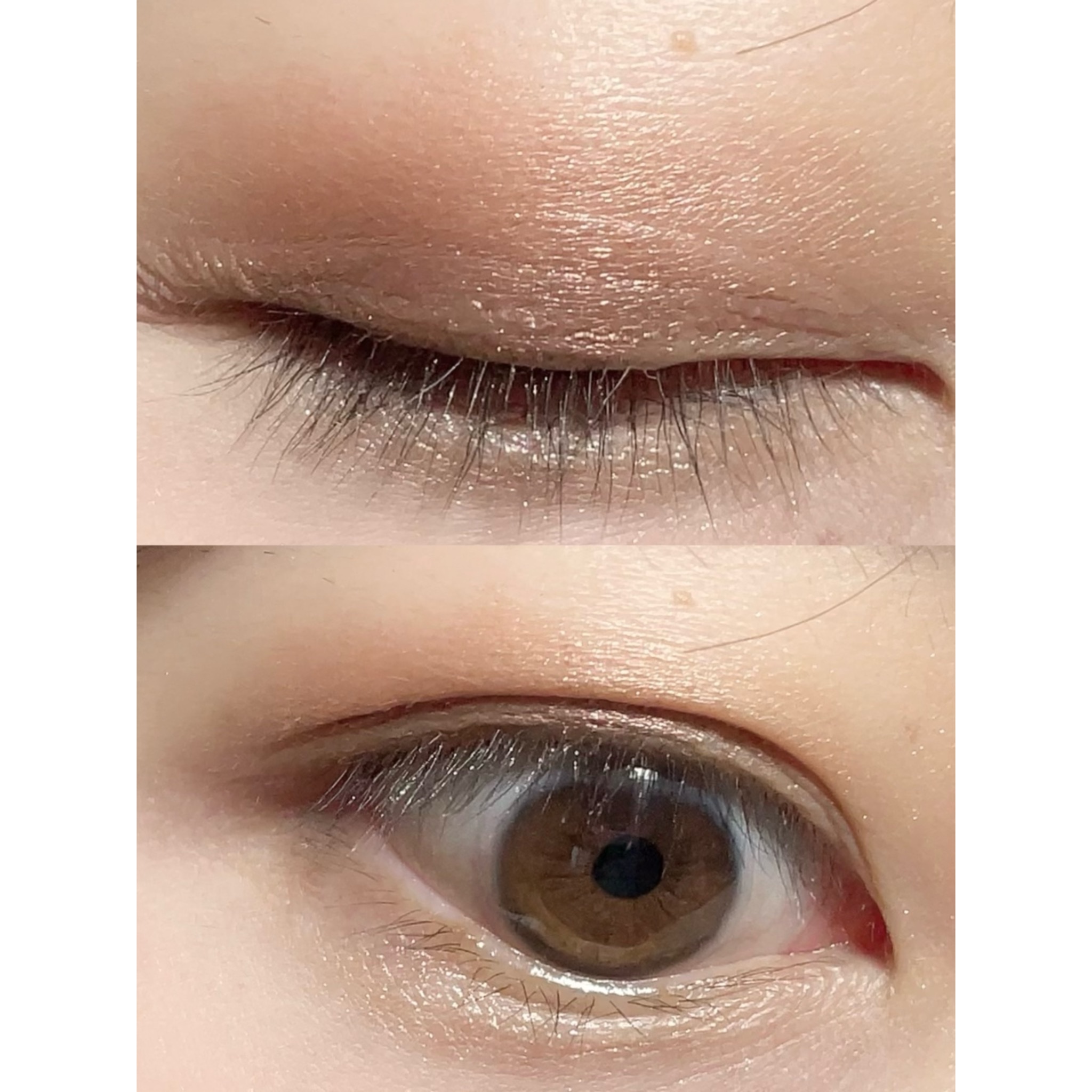 UR GLAM　BLOOMING EYE COLOR PALETTE/U R GLAM/アイシャドウパレットを使ったクチコミ（2枚目）