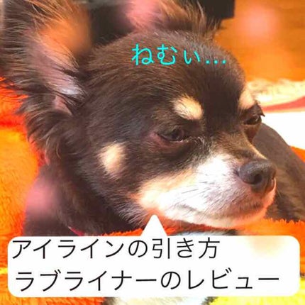 ラブ・ライナー リキッドアイライナーR3/ラブ・ライナー/リキッドアイライナーを使ったクチコミ(1枚目)