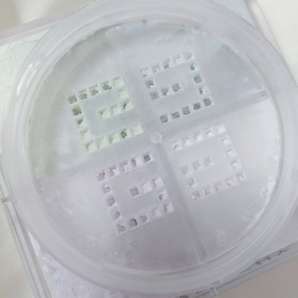 ããªãºã ã»ãªãŒãã«/GIVENCHY/ã«ãŒã¹ããŠããŒã䜿ã£ãã¯ãã³ãïŒ4æç®ïŒ