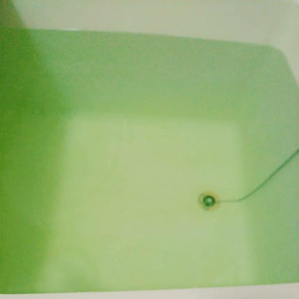 バスクリンマルシェ/バスクリン/無機塩系入浴剤を使ったクチコミ(4枚目)