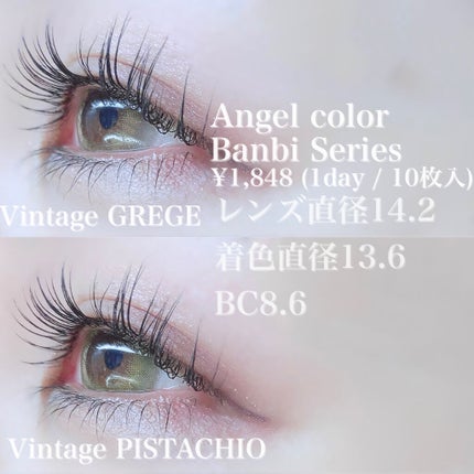 スキニーリッチシャドウ/excel/アイシャドウパレットを使ったクチコミ(3枚目)