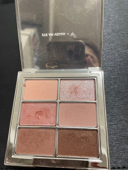 アイ ヴィーガン シアーパレット/AMUSE/アイシャドウパレットを使ったクチコミ(1枚目)