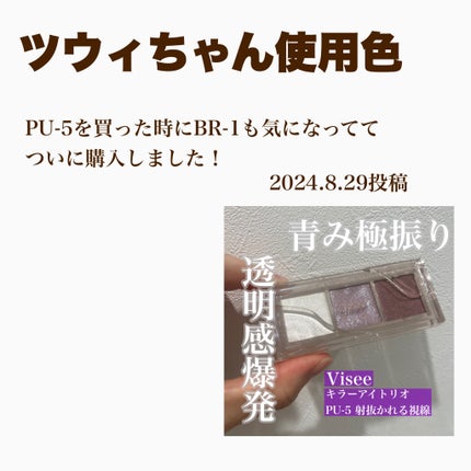 キラー アイ トリオ/Visée/アイシャドウパレットを使ったクチコミ(2枚目)
