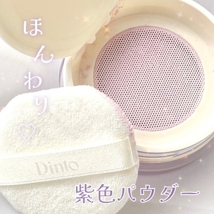 ピクシーダスト ルースパウダー フィニッシュパウダー /Dinto/ルースパウダーを使ったクチコミ(1枚目)