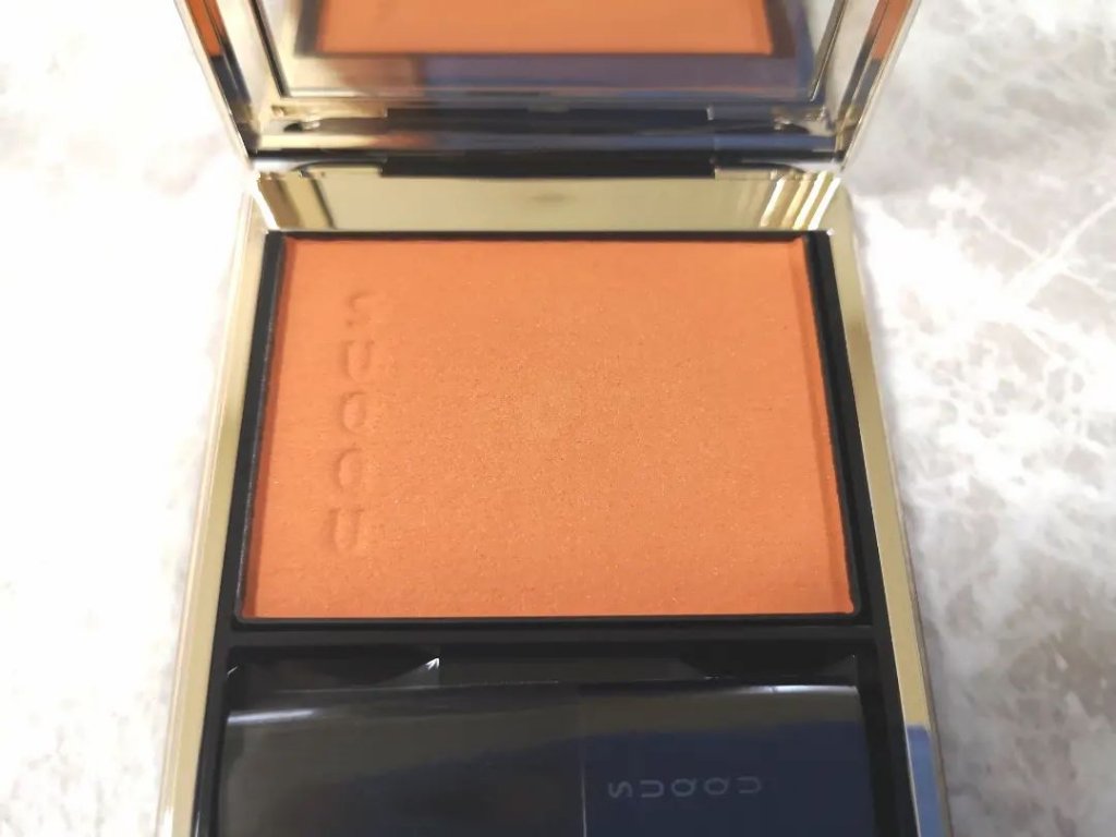 ザ リップスティック サテン/ADDICTION/口紅を使ったクチコミ（2枚目）