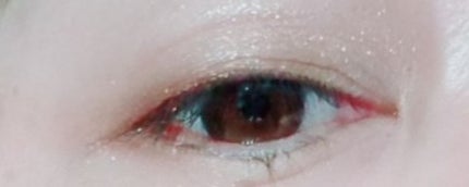 アクセントカラーアイズ CC/インテグレート/アイシャドウパレットを使ったクチコミ(3枚目)