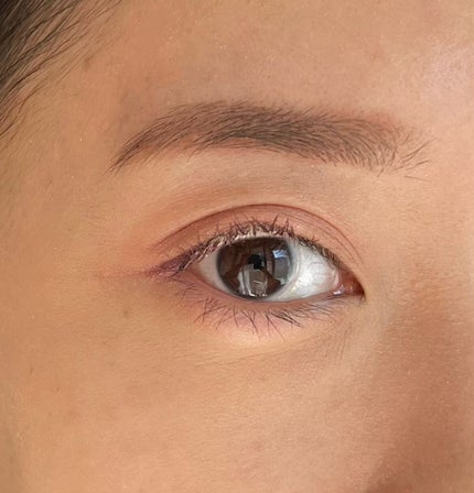 コンスピキュアス アイズ/Amplitude/アイシャドウパレットを使ったクチコミ(4枚目)