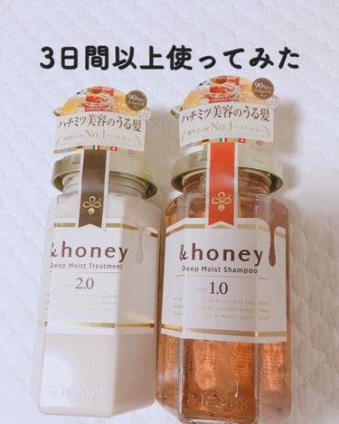 ディープモイスト シャンプー1.0／ヘアトリートメント2.0/&honey/シャンプー・コンディショナーを使ったクチコミ（1枚目）