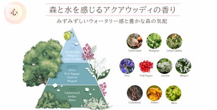 ホリーディア クリーミーリセットクレンジング/HOLIDEA/泡洗顔を使ったクチコミ(2枚目)