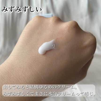 シカ水分クリーム/Dr.Belmeur/フェイスクリームを使ったクチコミ(3枚目)