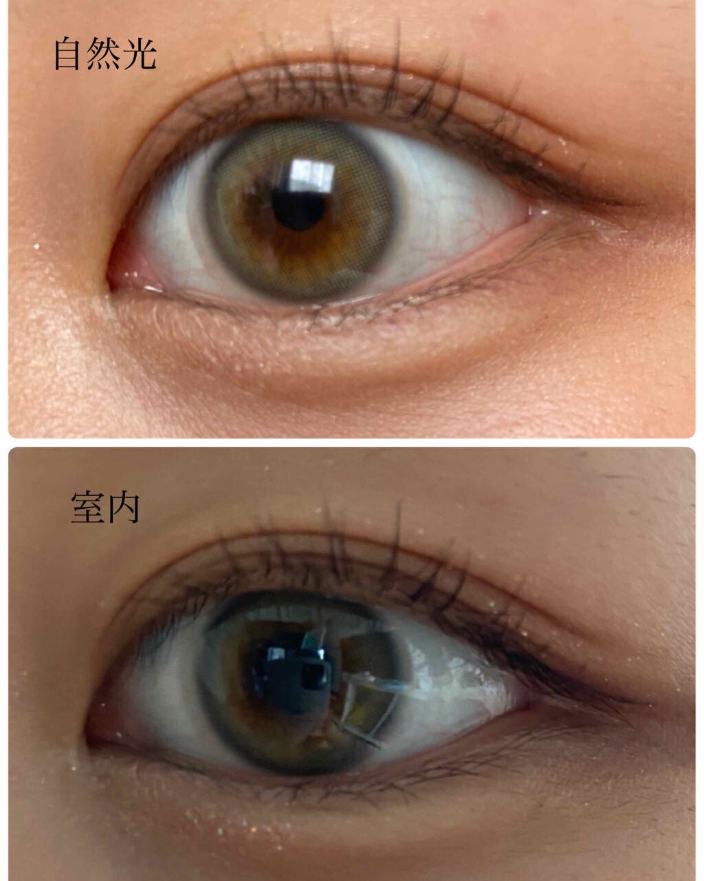 SCANDI 1day/OLENS/カラーコンタクトレンズを使ったクチコミ(2枚目)