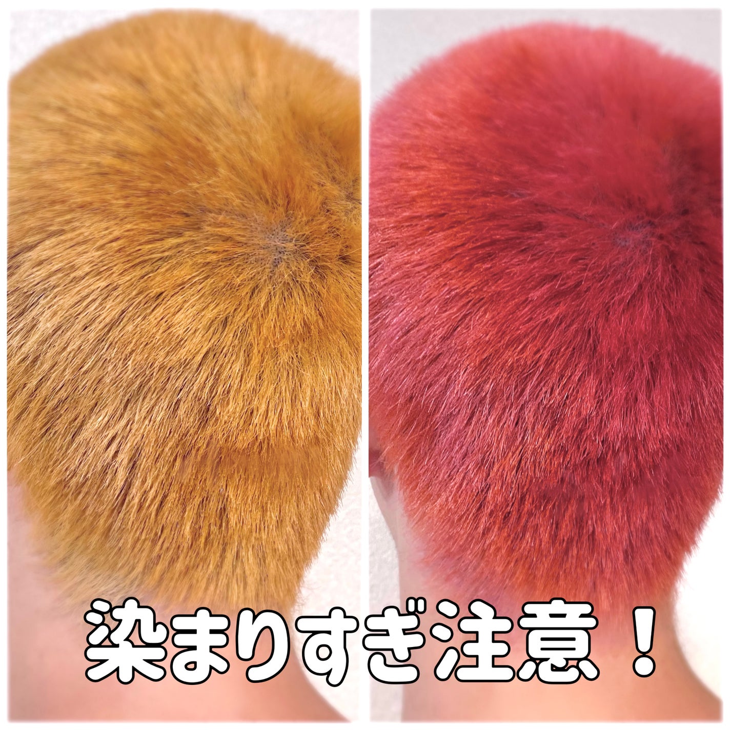 tottimo!ディップカラー/アイケイ/ヘアカラーを使ったクチコミ(1枚目)