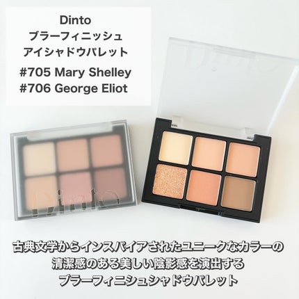 ブラーフィニシュシャドウパレット/Dinto/アイシャドウパレットを使ったクチコミ(2枚目)