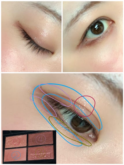 ミネラルクラッシィシャドー/エトヴォス/アイシャドウパレットを使ったクチコミ(3枚目)