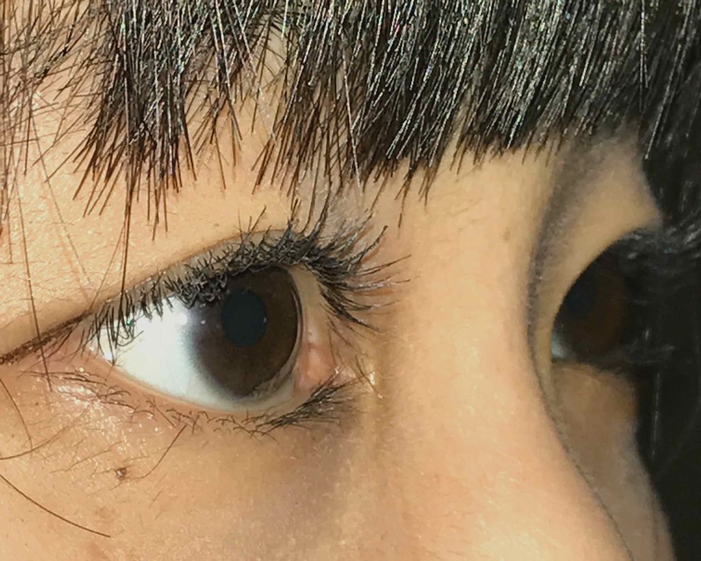 オペラ マイラッシュ アドバンスト/OPERA/マスカラを使ったクチコミ（3枚目）