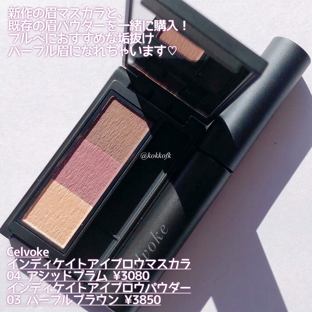 セルヴォーク インディケイトアイブロウパウダー/Celvoke/パウダーアイブロウを使ったクチコミ(2枚目)