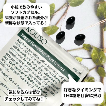 nagomi KOUSO 30粒/renaTerra/健康サプリメントを使ったクチコミ(3枚目)