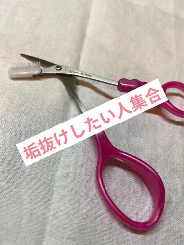 クシ付きマユハサミDX/貝印/その他化粧小物を使ったクチコミ（1枚目）
