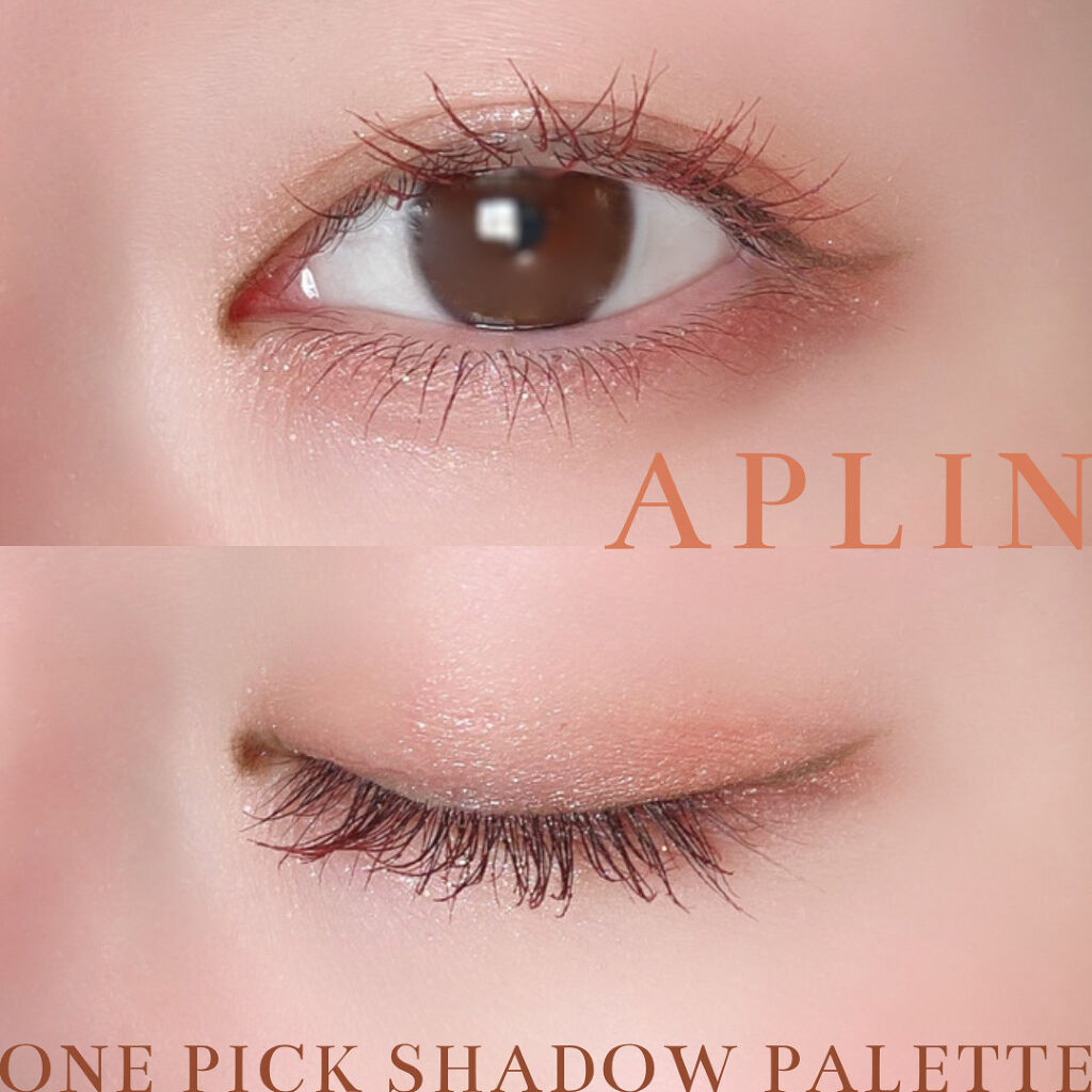 ワンピックアイシャドウパレット/APLIN/アイシャドウパレットを使ったクチコミ（2枚目）