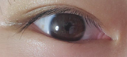 クリーミータッチライナー/キャンメイク/ジェルアイライナーを使ったクチコミ(3枚目)