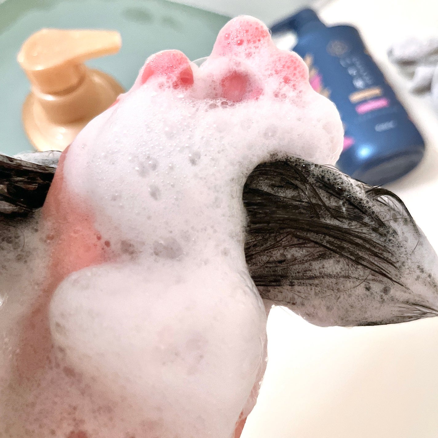 ãã¡ãŒãžãªãã¢ïŒã«ã©ãŒã±ã¢ ã·ã£ã³ããŒ/ã³ã³ãã£ã·ã§ããŒ/ãã¡é«ª/åžè²©ã·ã£ã³ããŒã䜿ã£ãã¯ãã³ãïŒ2æç®ïŒ