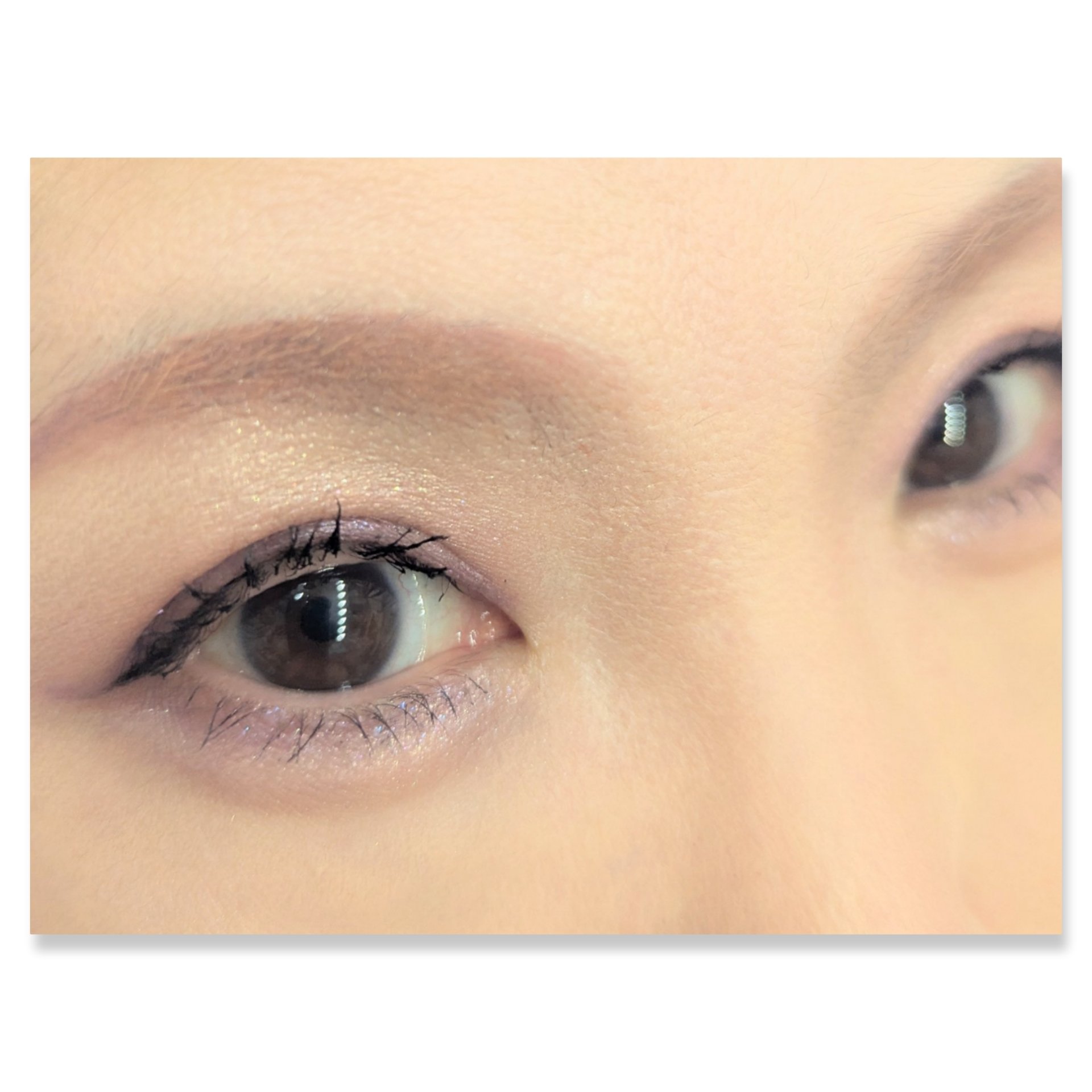 シルキースフレアイズ/キャンメイク/アイシャドウパレットを使ったクチコミ（2枚目）