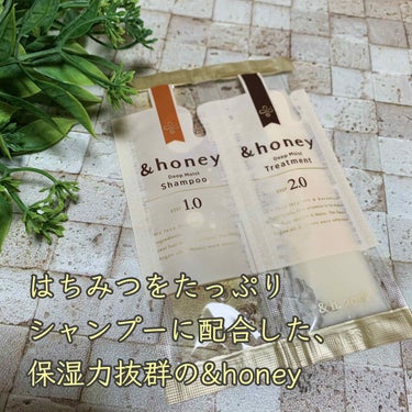 ディープモイスト シャンプー1.0／ヘアトリートメント2.0/&honey/シャンプー・コンディショナーを使ったクチコミ（1枚目）