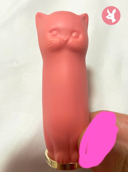 リップスティック ケース N/PAUL & JOE BEAUTE/その他化粧小物を使ったクチコミ(1枚目)